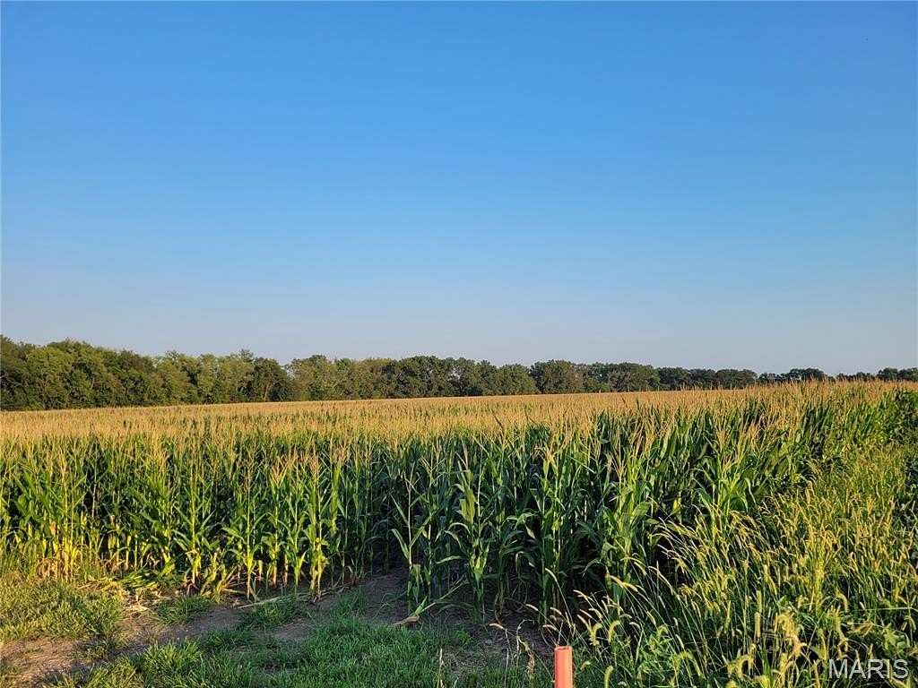 40 Acres of Land for Sale in Bellflower, Missouri