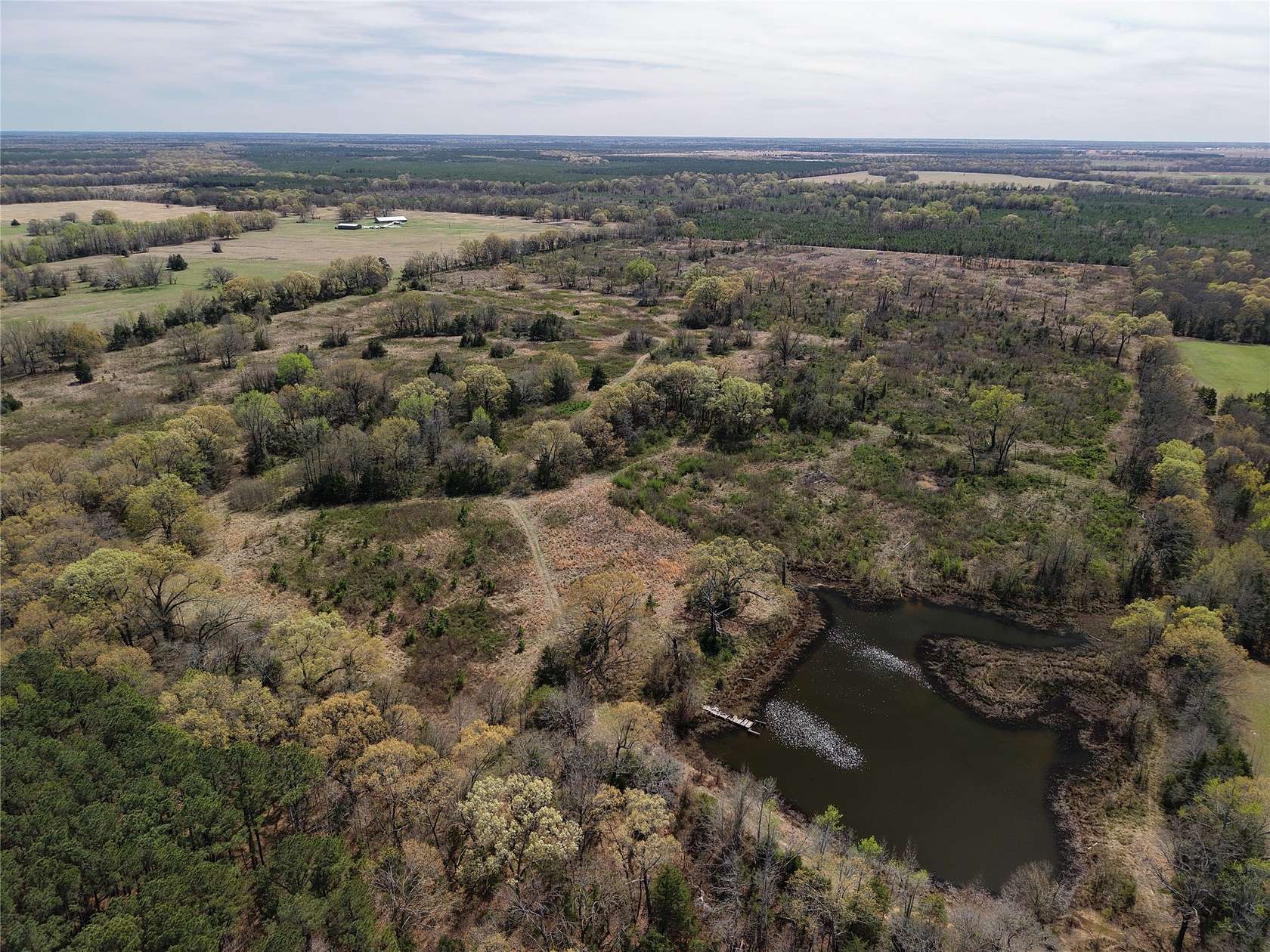 99.6 Acres of Land for Sale in Bagwell, Texas