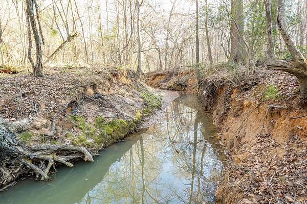 51 Acres of Recreational & Residential Land for Sale in Marshall, Texas