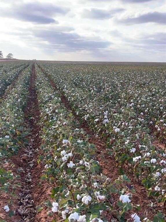 637 Acres of Land for Sale in Brownfield, Texas