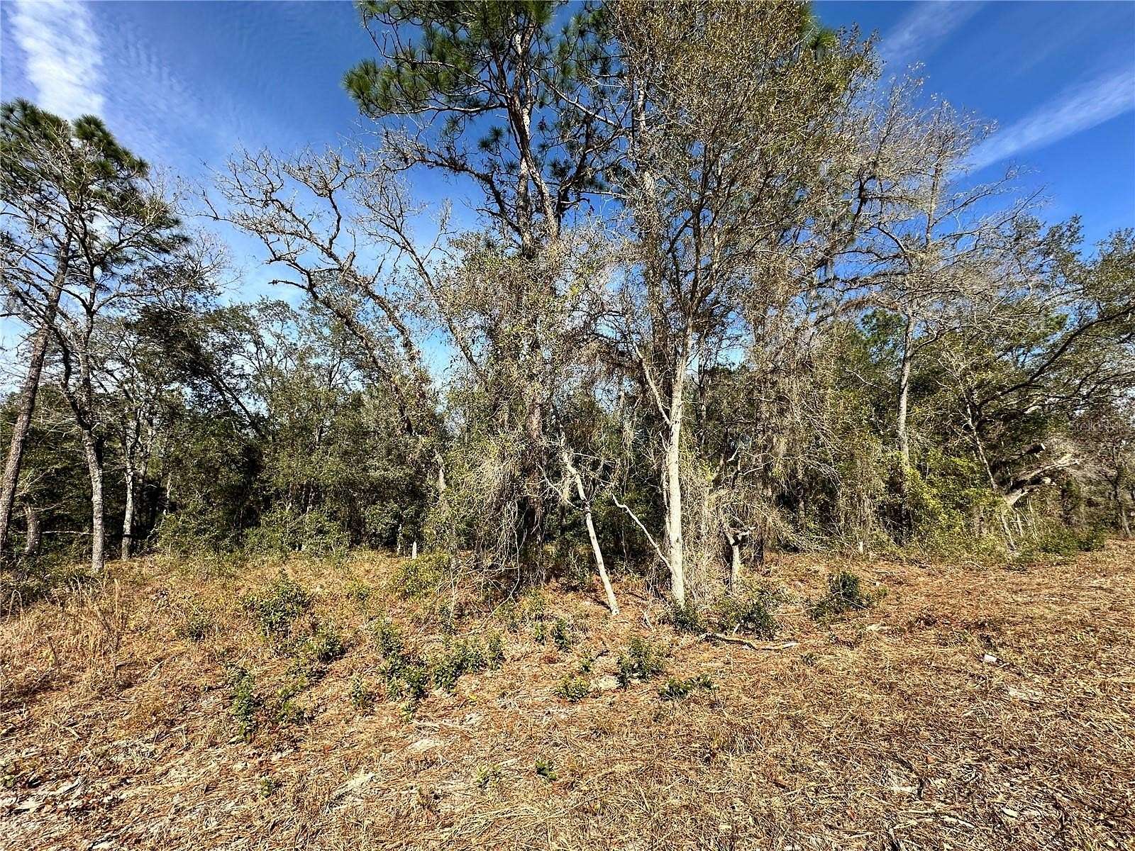 1.25 Acres of Residential Land for Sale in Morriston, Florida