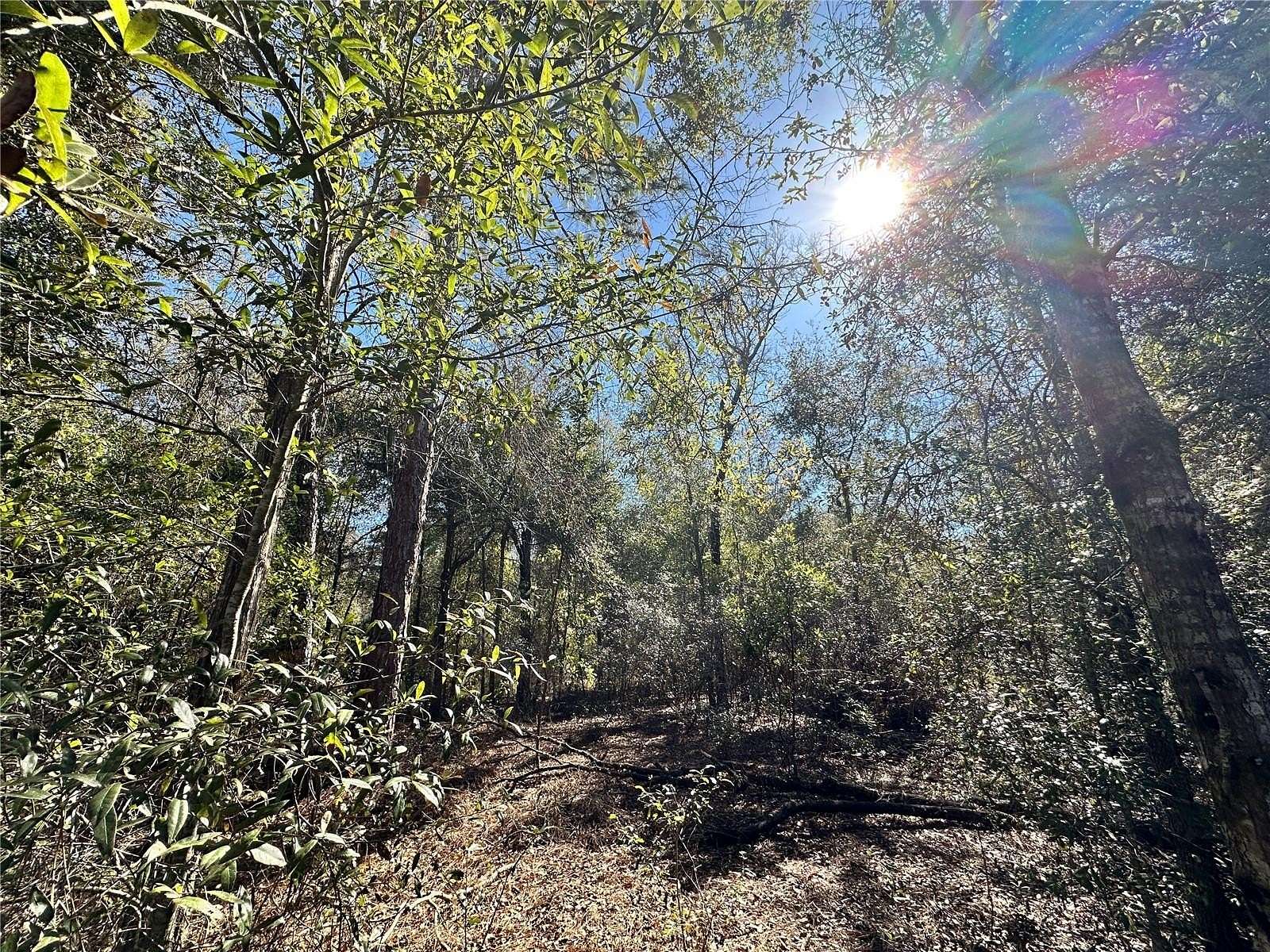 1.25 Acres of Residential Land for Sale in Bronson, Florida
