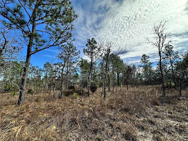 0.23 Acres of Residential Land for Sale in Williston, Florida