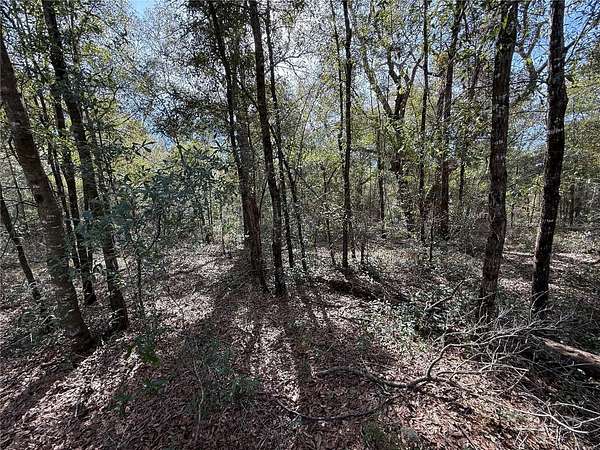 1.25 Acres of Land for Sale in Bronson, Florida