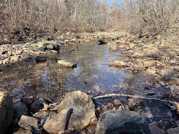 17 Acres of Recreational Land for Sale in Leslie, Arkansas