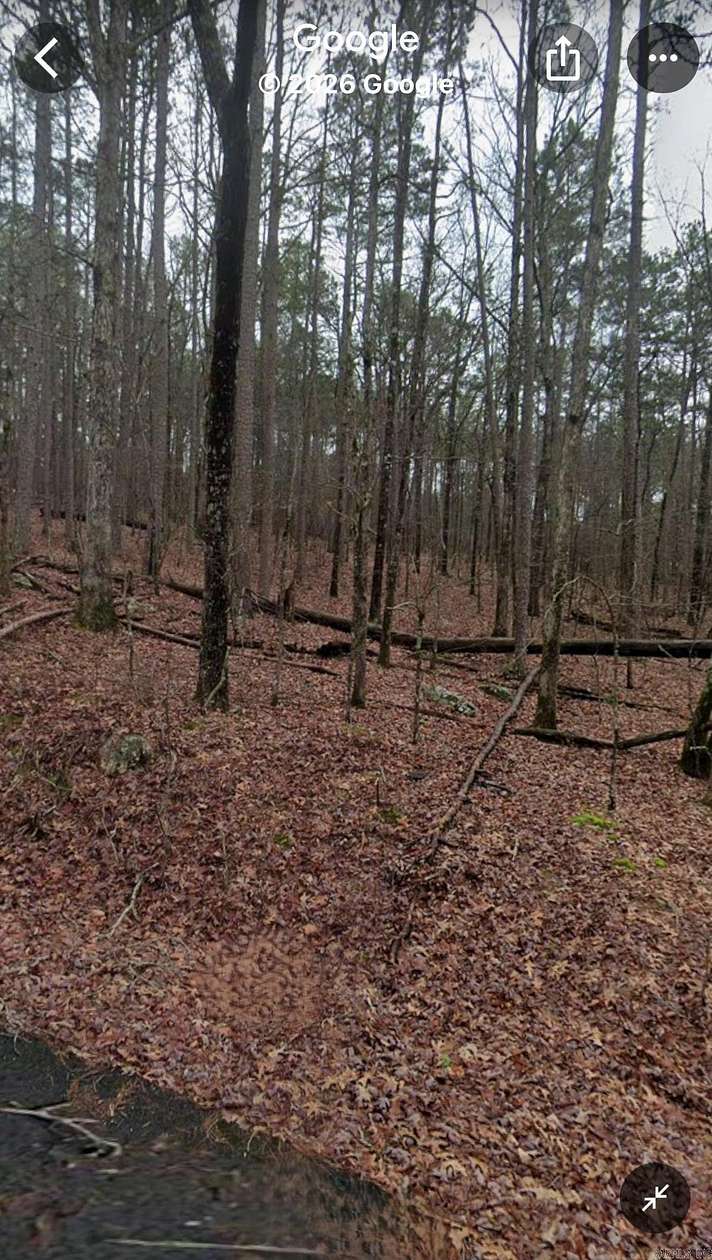 1.13 Acres of Residential Land for Sale in Hot Springs Village, Arkansas