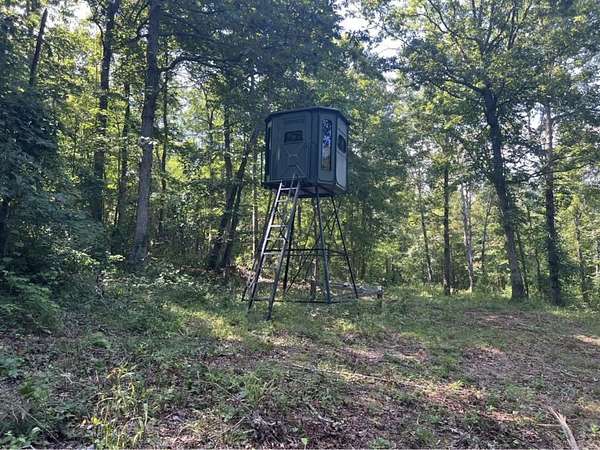 25 Acres of Recreational Land for Sale in Leslie, Arkansas
