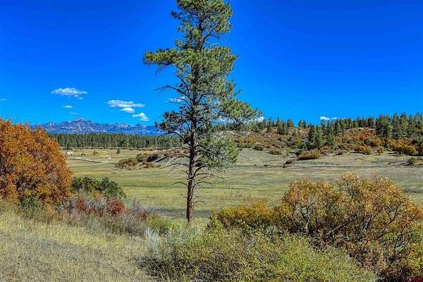 103 Acres of Land for Sale in Pagosa Springs, Colorado