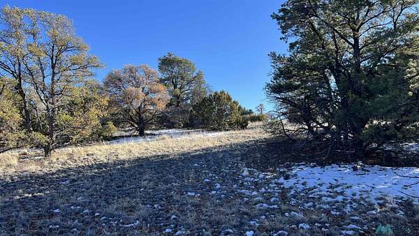 12.4 Acres of Recreational Land for Sale in Quemado, New Mexico