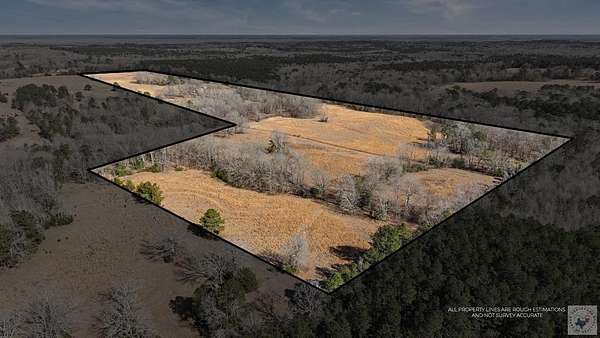 70 Acres of Agricultural Land with Home for Sale in Doddridge, Arkansas