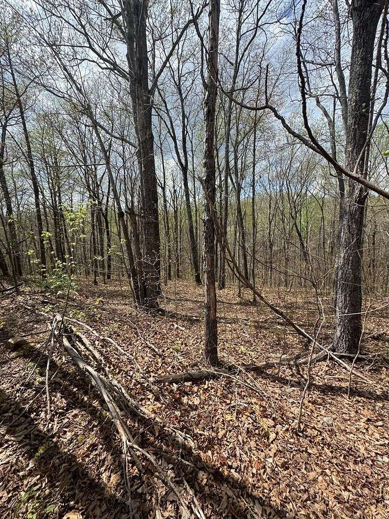 1.43 Acres of Residential Land for Sale in Smithville, Tennessee