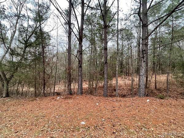 2.5 Acres of Residential Land for Sale in Wetumpka, Alabama