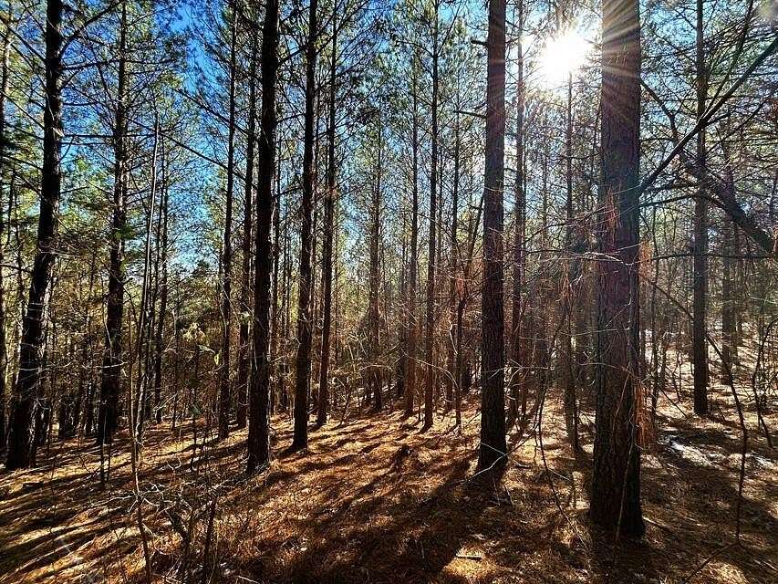 15.5 Acres of Land for Sale in Decatur, Tennessee