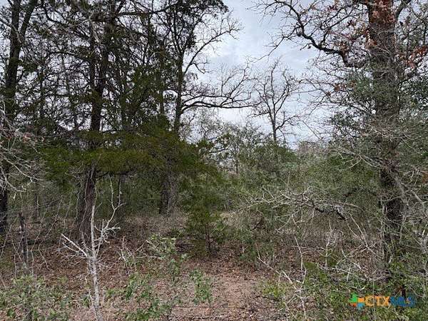 74.8 Acres of Recreational Land for Sale in Yoakum, Texas
