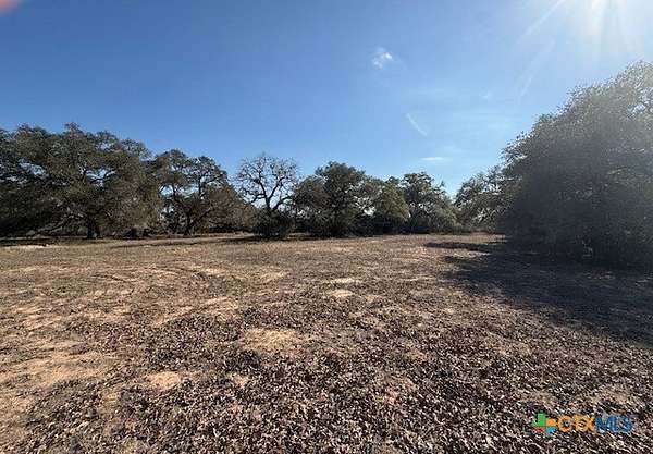 74.8 Acres of Recreational Land for Sale in Yoakum, Texas