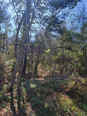 0.52 Acres of Residential Land for Sale in Theodore, Alabama