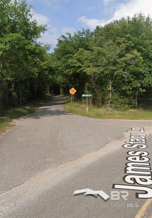 12 Acres of Land for Sale in Stapleton, Alabama