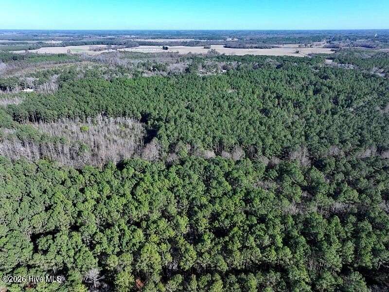 24.8 Acres of Land for Sale in Fairmont, North Carolina