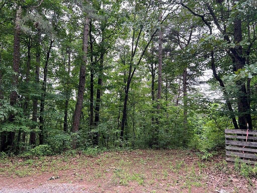 22.2 Acres of Land for Sale in Ellijay, Georgia