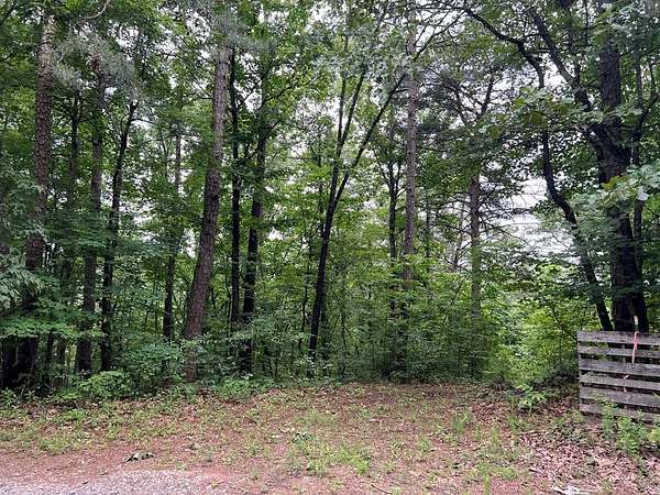 22.2 Acres of Land for Sale in Ellijay, Georgia