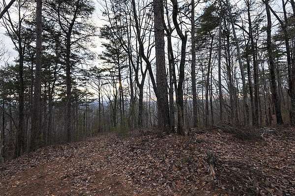 22.2 Acres of Land for Sale in Ellijay, Georgia