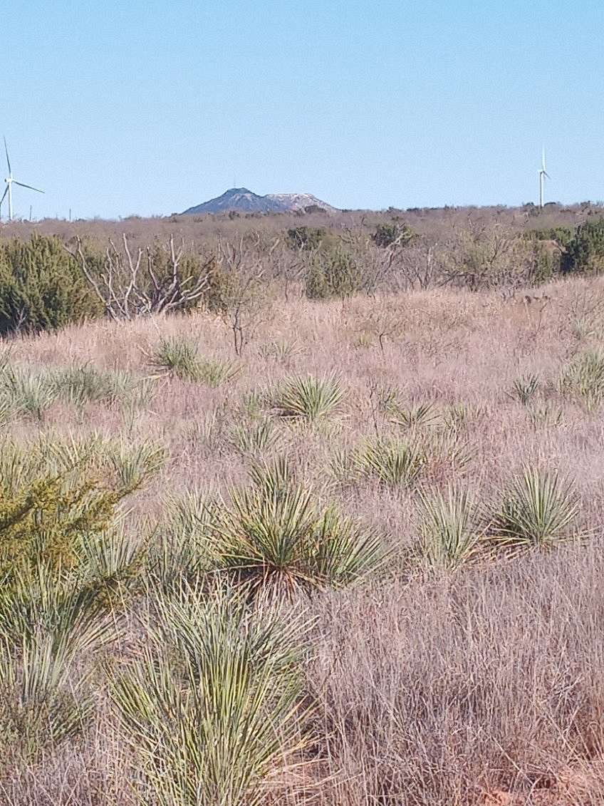 40 Acres of Recreational Land for Sale in Jayton, Texas