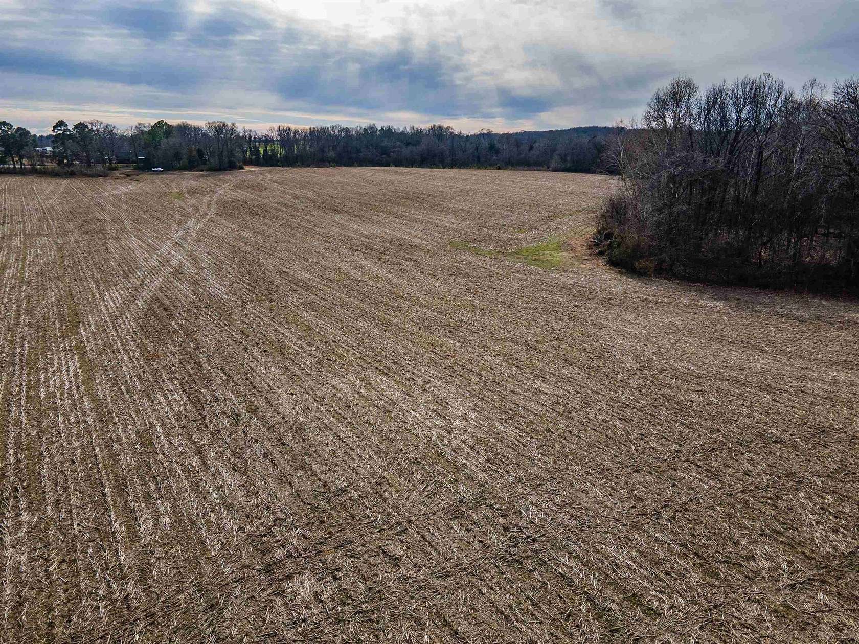 99.2 Acres of Land for Sale in Somerville, Tennessee