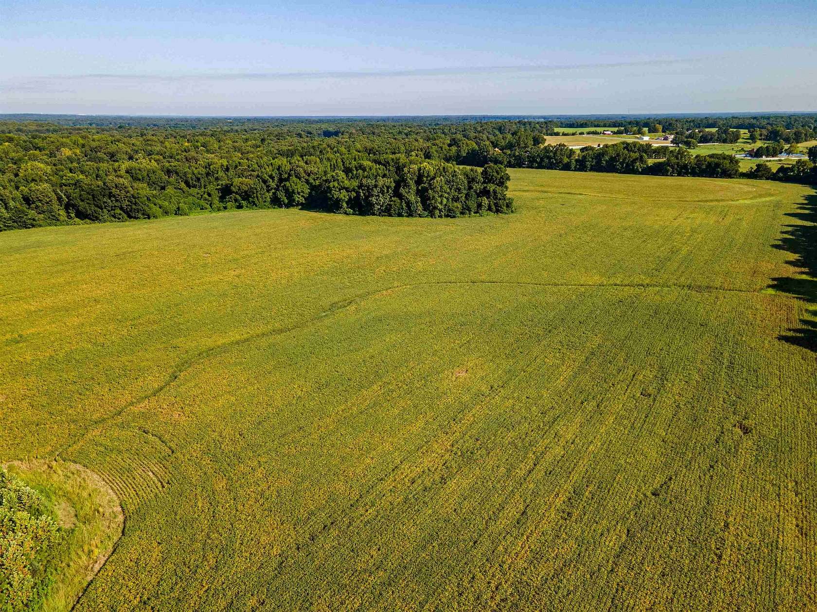 99.2 Acres of Land for Sale in Somerville, Tennessee