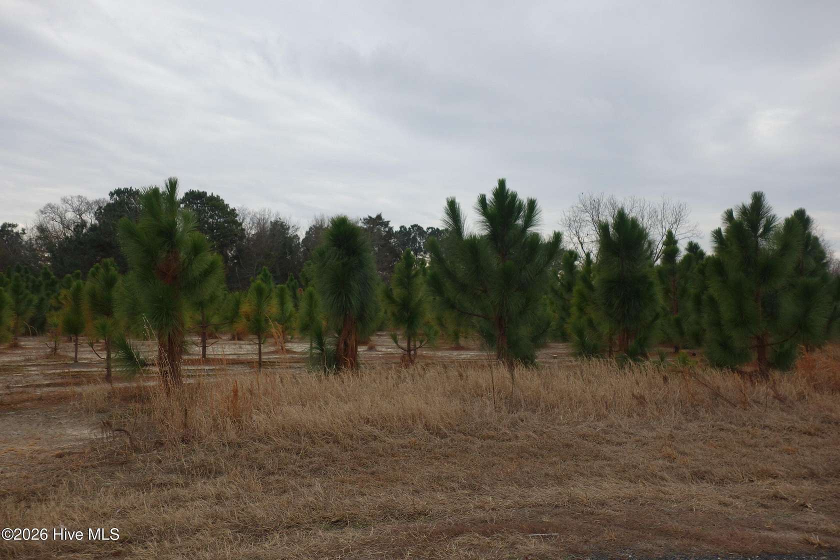 1 Acre of Residential Land for Sale in Fairmont, North Carolina