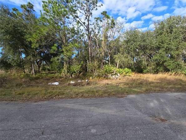 0.2 Acres of Residential Land for Sale in Kissimmee, Florida