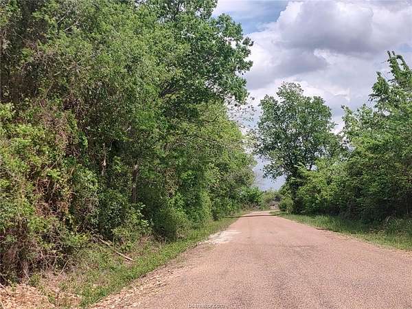 10 Acres of Recreational & Residential Land for Sale in Caldwell, Texas