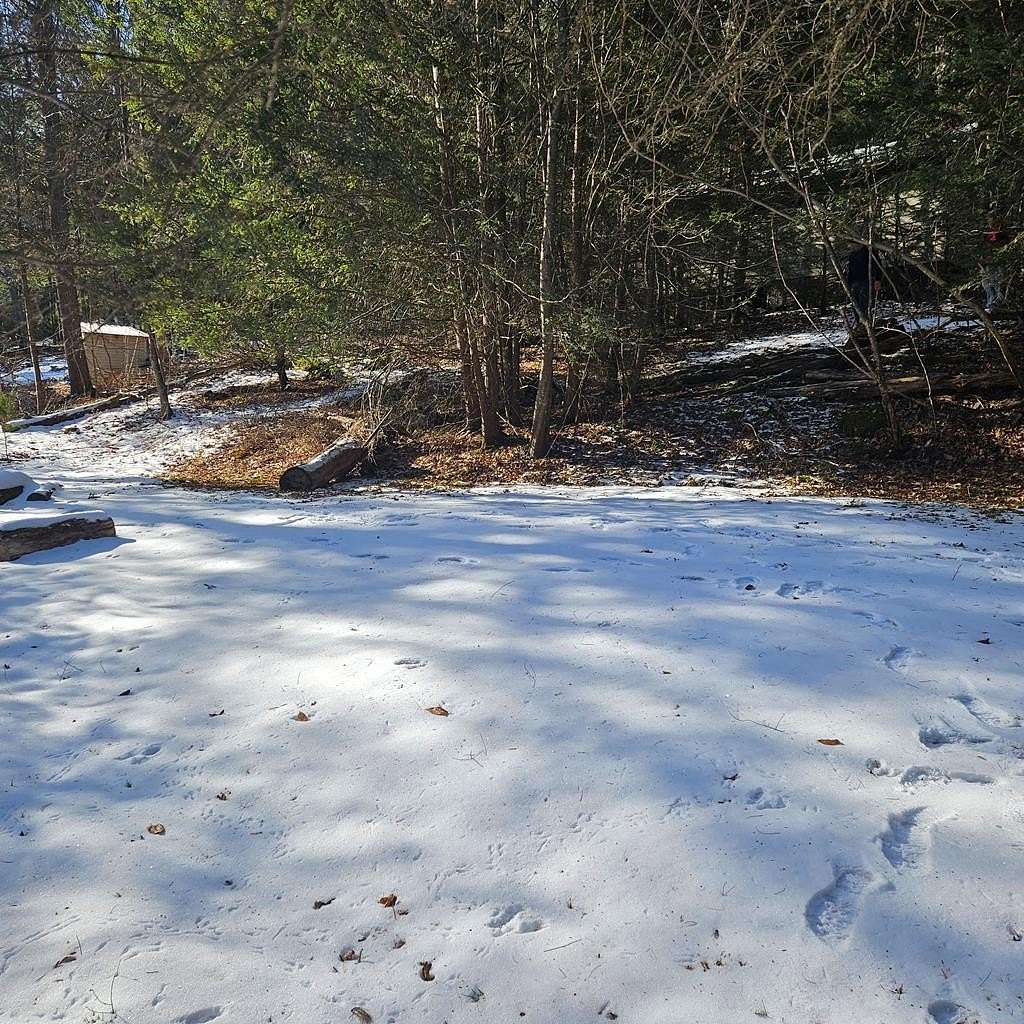 0.28 Acres of Land for Sale in Sinnemahoning, Pennsylvania