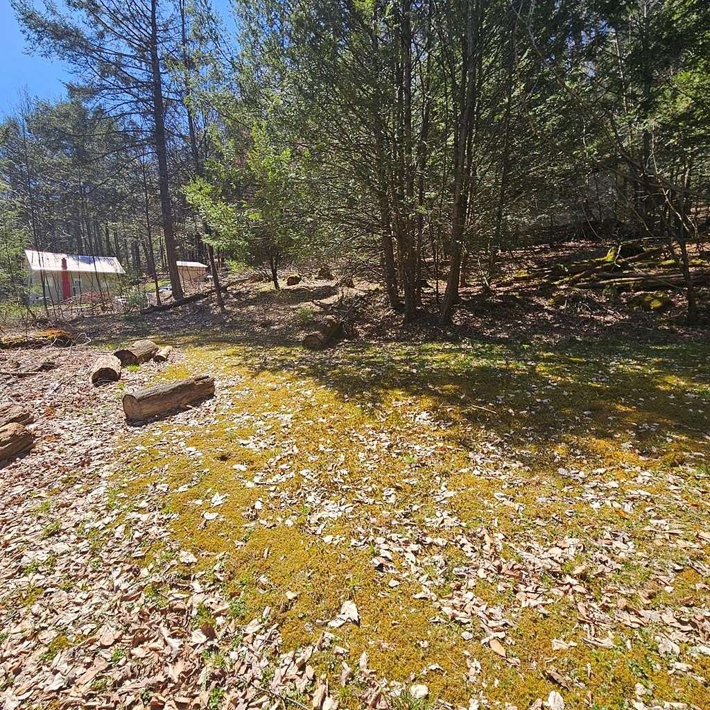 0.28 Acres of Land for Sale in Sinnemahoning, Pennsylvania