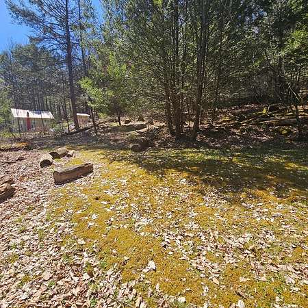 0.28 Acres of Land for Sale in Sinnemahoning, Pennsylvania