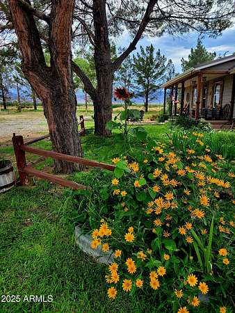 5 Acres of Residential Land with Home for Sale in Willcox, Arizona