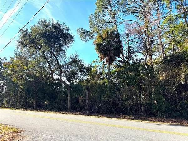 4.23 Acres of Residential Land for Sale in Brunswick, Georgia