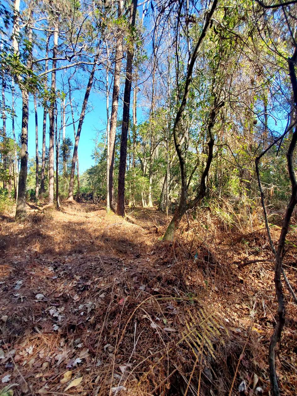 0.23 Acres of Residential Land for Sale in Georgetown, Florida