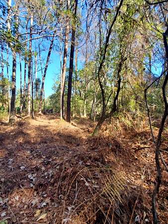 0.23 Acres of Residential Land for Sale in Georgetown, Florida