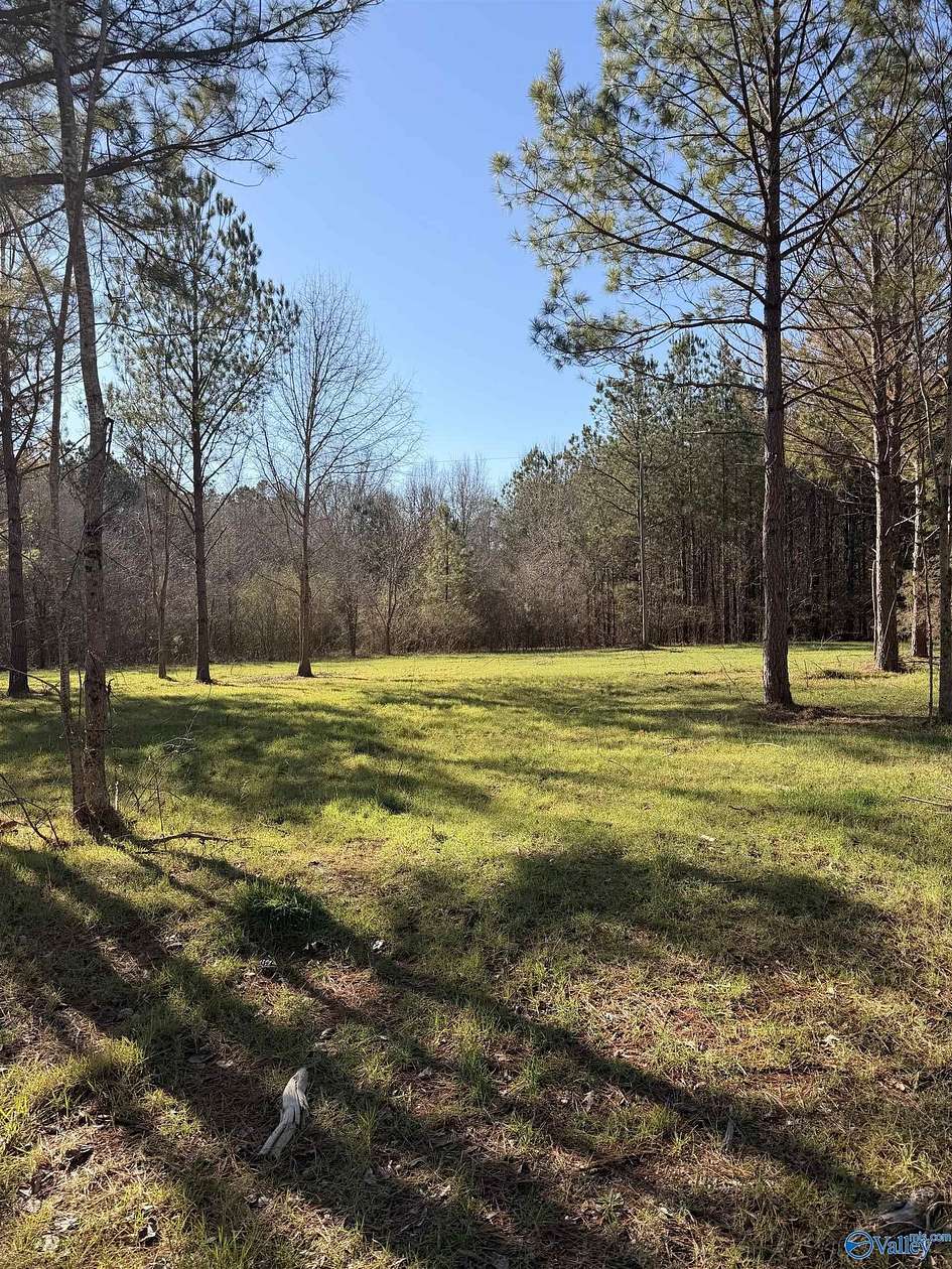 1.64 Acres of Residential Land for Sale in Piedmont, Alabama