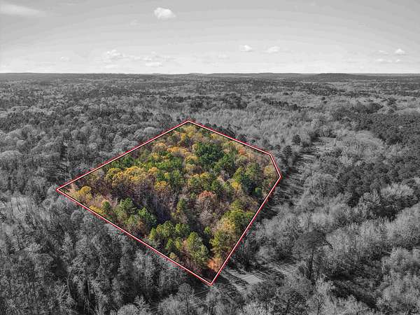 10.8 Acres of Land for Sale in Pittsburg, Texas