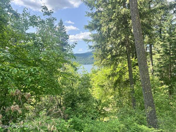 0.31 Acres of Residential Land for Sale in Harrison, Idaho