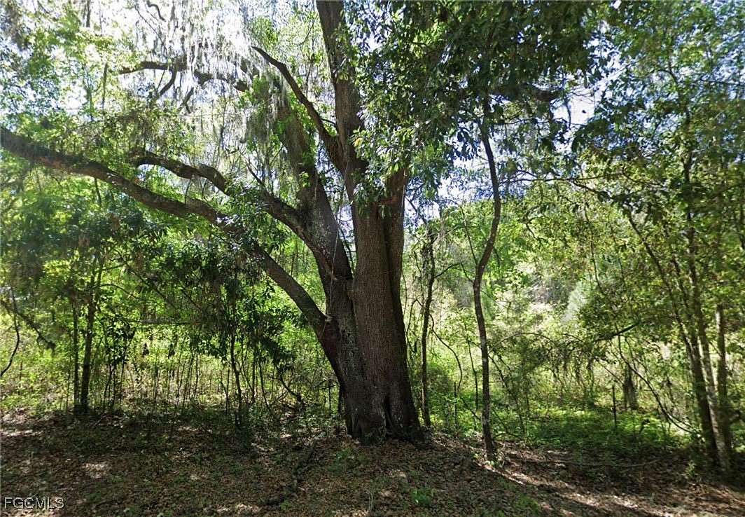 5.1 Acres of Residential Land for Sale in Fort White, Florida