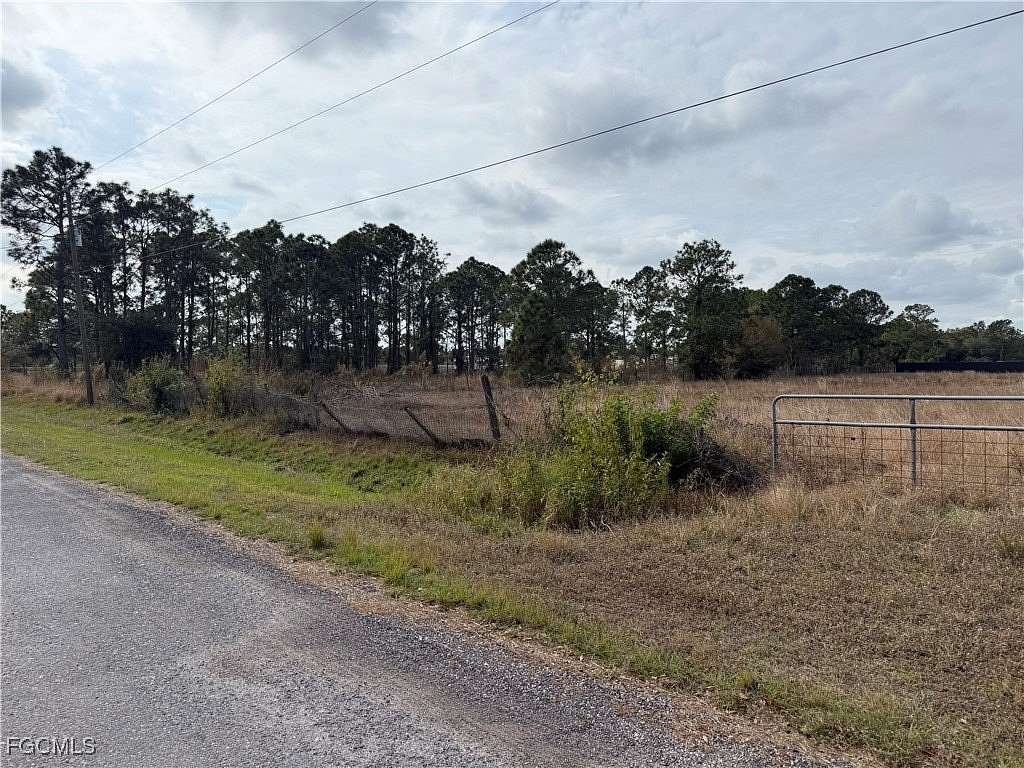 1.25 Acres of Residential Land for Auction in Clewiston, Florida