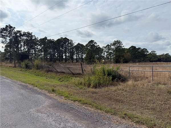 1.25 Acres of Residential Land for Auction in Clewiston, Florida
