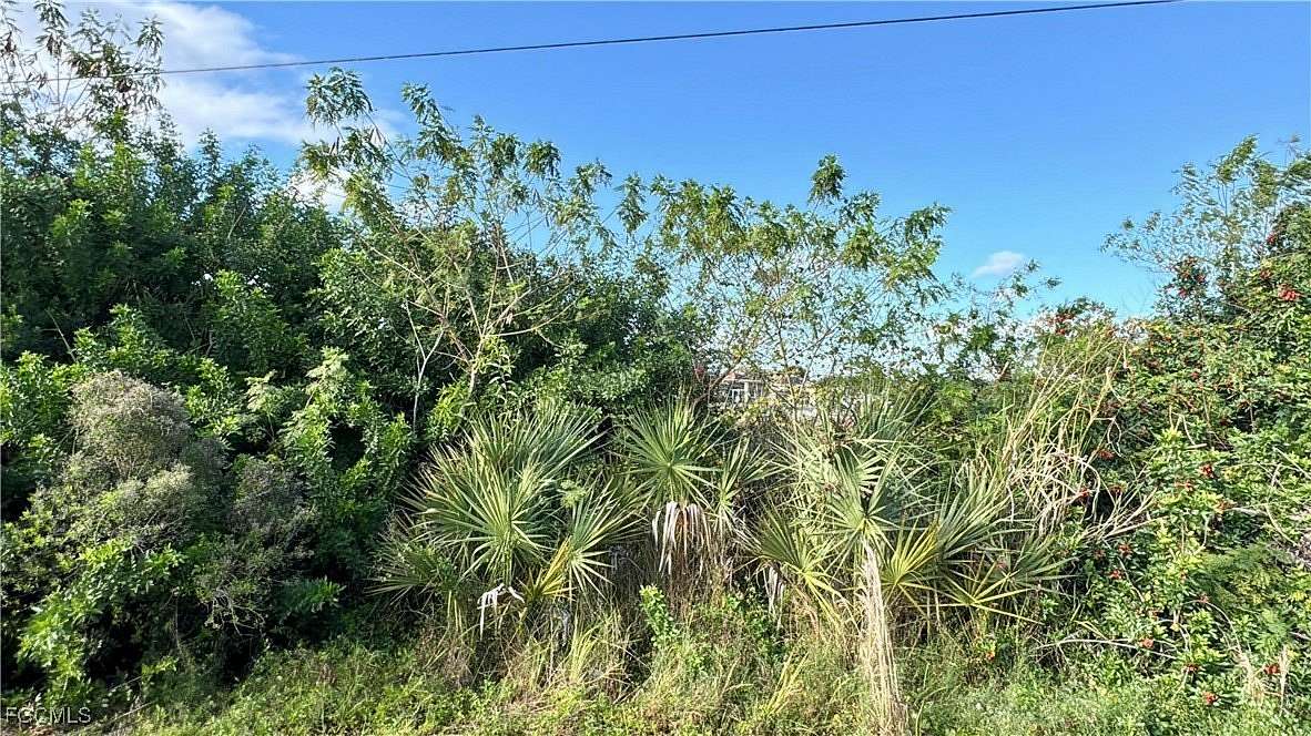 0.23 Acres of Residential Land for Sale in Lehigh Acres, Florida