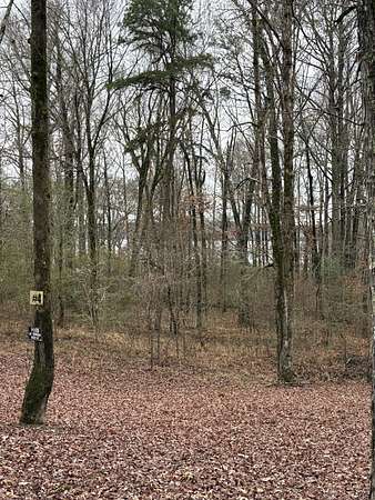 1.48 Acres of Residential Land for Sale in Savannah, Tennessee