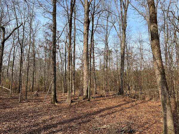 88 Acres of Land for Sale in Bradley, South Carolina
