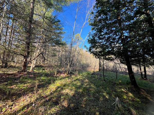 5.5 Acres of Recreational Land for Sale in Hermon, New York
