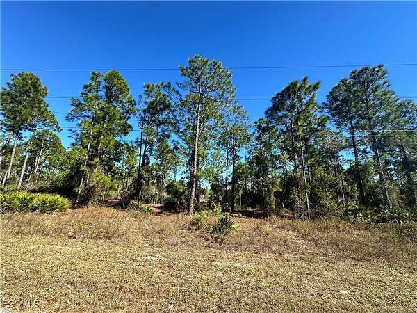 0.27 Acres of Residential Land for Sale in Lehigh Acres, Florida