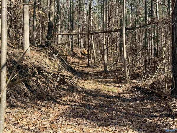 13.3 Acres of Recreational Land for Sale in Town Creek, Alabama